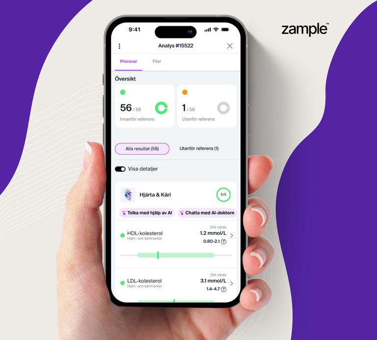 zample is a digital test answer service with safe and secure login.
