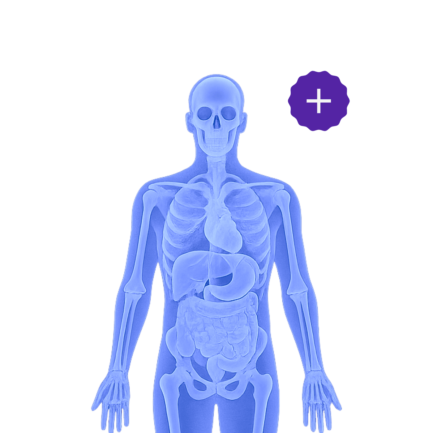MRI Full body Plus