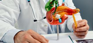 Inflammation i bukspottkörteln – pankreatit