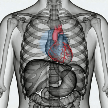CT Coronary Angiography (CCTA)