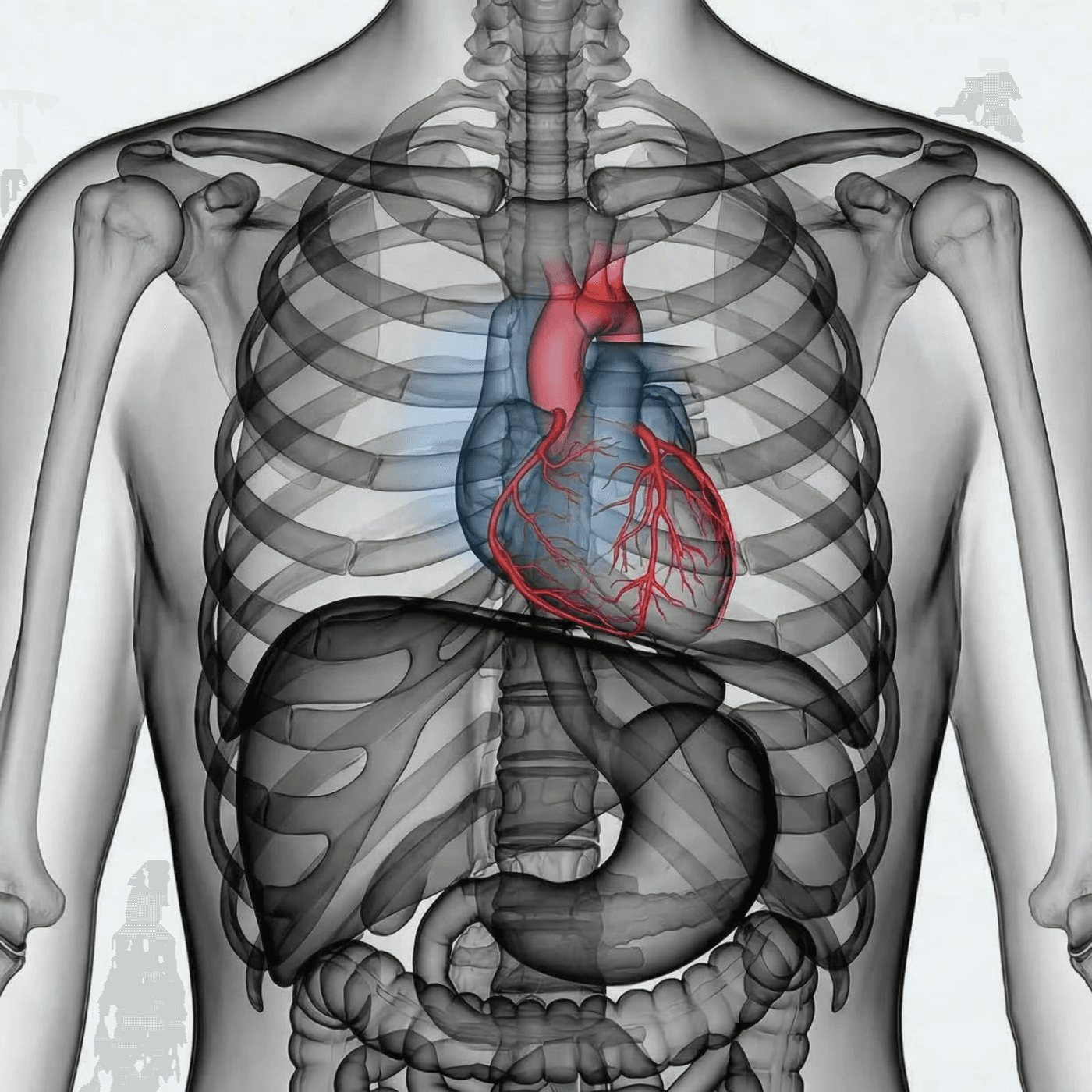 CT Coronary Angiography (CCTA)