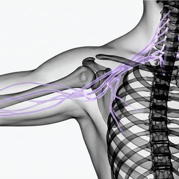 MRI Plexus brachialis