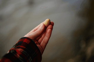 Gallstones – how to recognize the symptoms