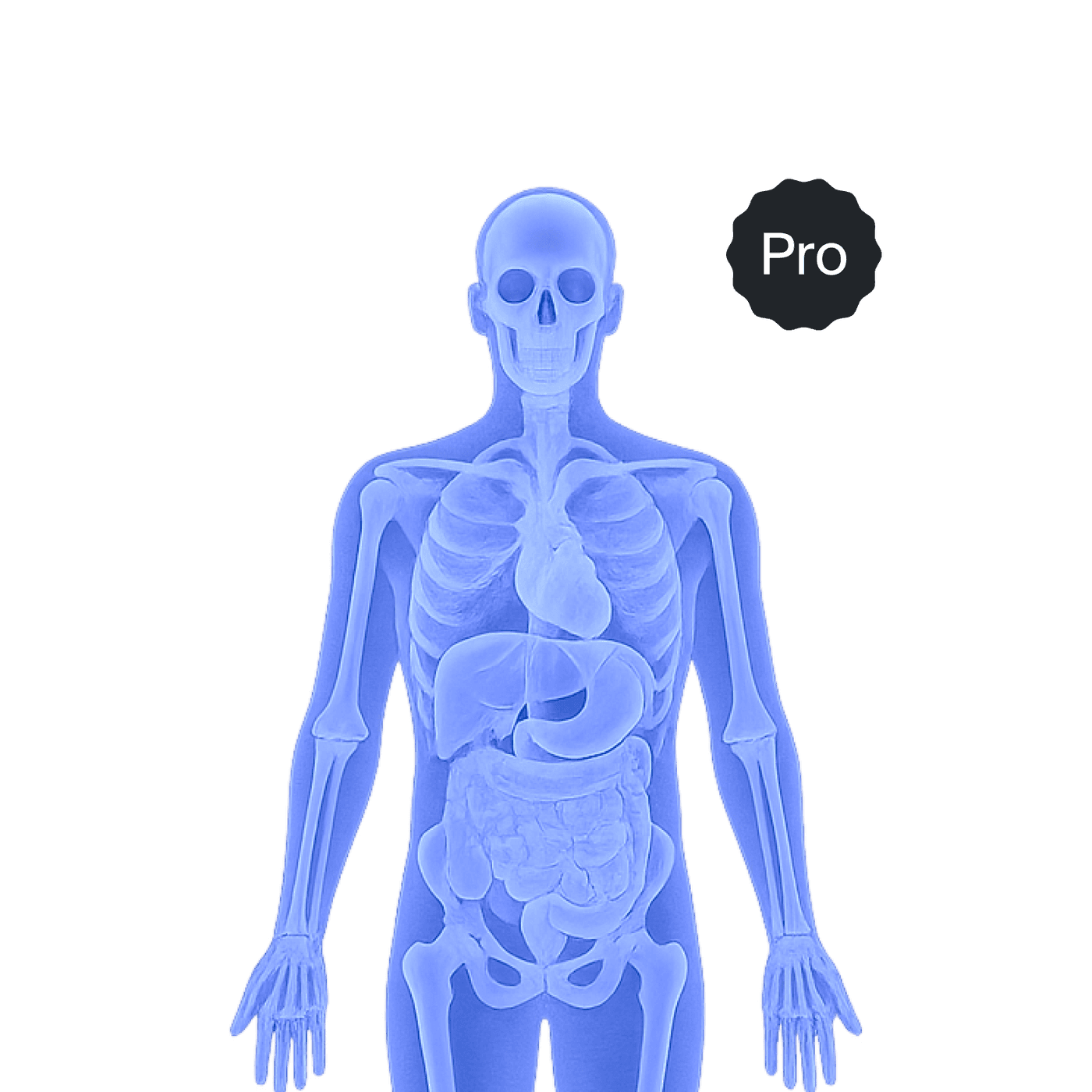 MRI Full Body Pro