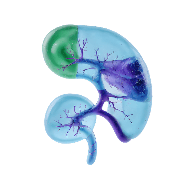 Kidney tests