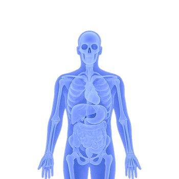 MRI Full Body