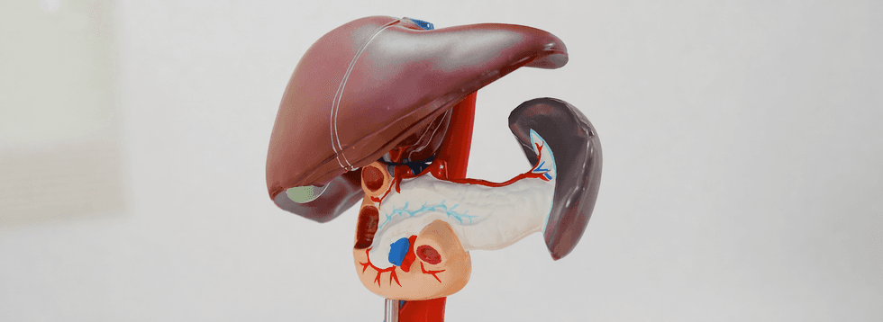 Vad menas med fettlever och hur vet man om man har det?