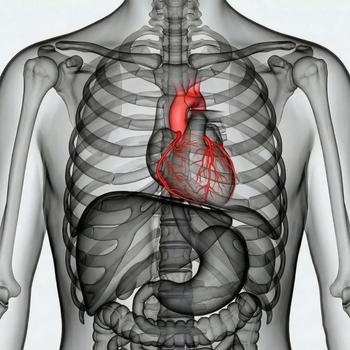 CT heart – Calcium score