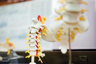 Lower back pain? Here are the most common causes