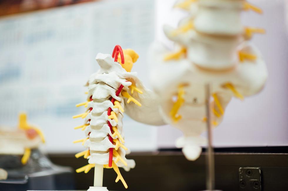 Lower back pain? Here are the most common causes