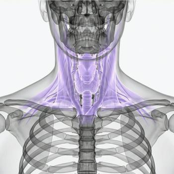 MRI throat