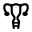 Pelvis and abdomen icon