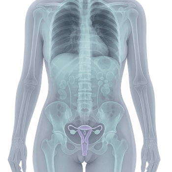 MR lilla bäckenet (gyn)